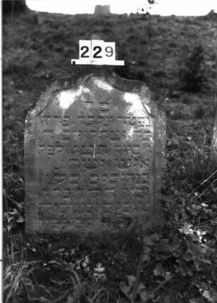 Grabstein 229