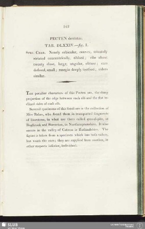 Pecten dentatus. Tab. DLXXIV.—fig. 1