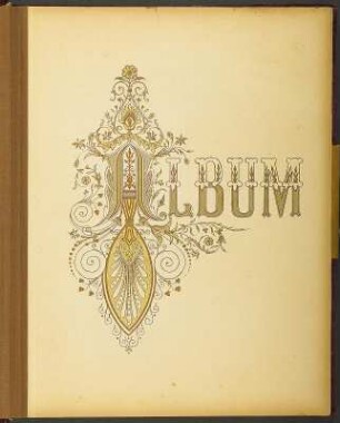 Familienalbum (Mischform zum Sammelalbum) : Familienalbum (Mischform zum Sammelalbum). Samteinband, Messingbeschläge, Messingschließe, Goldschnitt; 29,5 x 23 x 6 cm (um 1890/1900). Dresden: SLUB/DF 1992.C.3