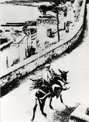 Auf dem Monte Gargano