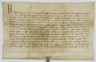 König Rudolf bestätigt der Stadt Biberach die ihr von seinen Vorgängern verliehenen Privilegien.
