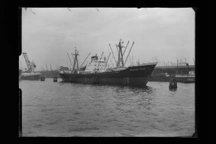 Magdalena Reith (1959), Orion, Hamburg