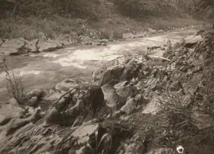 Thüringen. Schwarzatal bei der "Steinernen Brücke" oberhalb von Bad Blankenburg: Strudellöcher und Schleifwirkung