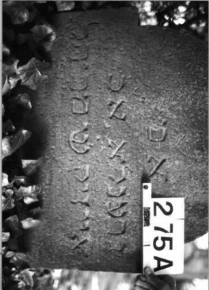 Grabstein 275 (Index: 100085114) Maße HxBxT: 80x72x13 cm Beschreibung: Stele, eingezogener Rundbogenabschluß: Grabstein 275A