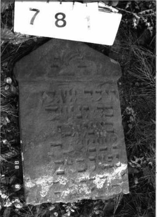 Grabstein 781 (Index: 100099478) Maße HxBxT: 58x35x7 cm Besonderheit: Kindergrab: Grabstein 781