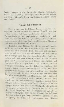 Anlage der Pflanzung