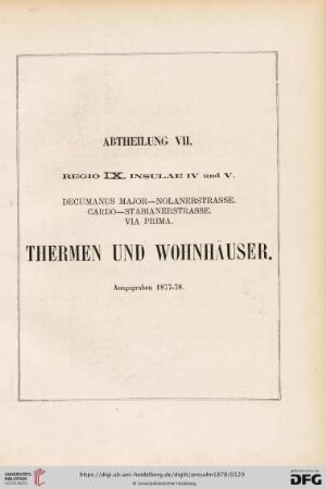 Abtheilung VII.