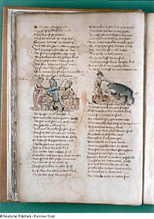 Textseite und Illustration, Blatt 7v