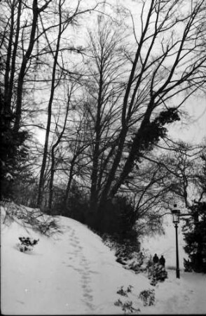 Badenweiler: Park Badenweiler im Schnee