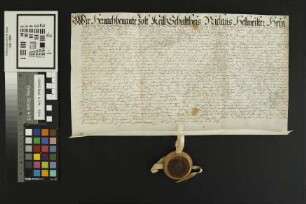 Kettenheim: Gültverschreibung über 24 alb. von Peter Keil zu Kettenheim dem Kapitel zu Odernheim