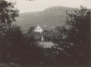 Oberförsterei im Heidental / im Sommer 1915. Detmold. Hiddesen. Papierabzug