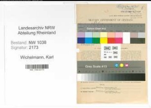 Entnazifizierung Karl Wichelmann , geb. 04.02.1896 (Beamter)