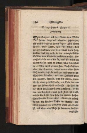 Vierzehntes Kapitel. Fortsetzung