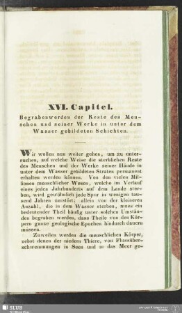 XVI. Capitel. Begrabenwerden der Reste des Menschen und seiner Werke in unter dem Wasser gebildeten Schichten