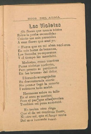 Las violetas