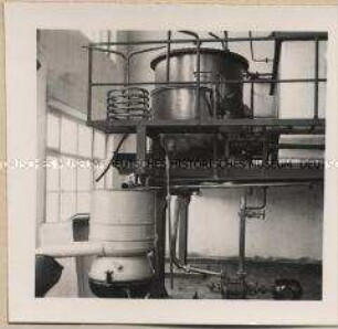 Ludwigshafen am Rhein, Pfälzische Preßhefen- & Spritfabrik