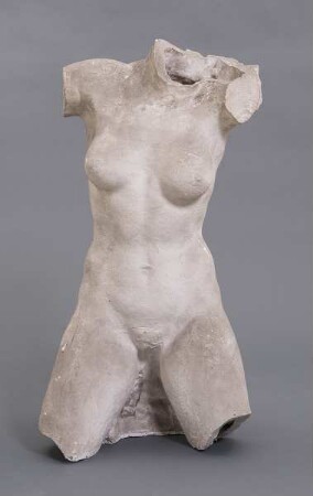 Weiblicher Torso