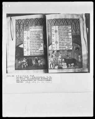 Flämisches Gebetbuch — Kalendar, Folio 1verso-13recto — Buchseite November mit Monatsbild - Schweinemast, Folio 11verso