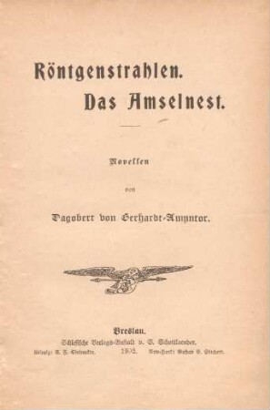 Röntgenstrahlen : Das Amselnest ; Novellen