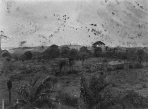Landschaft : Blick über das Gelände des deutschen Konsulates in Monrovia.