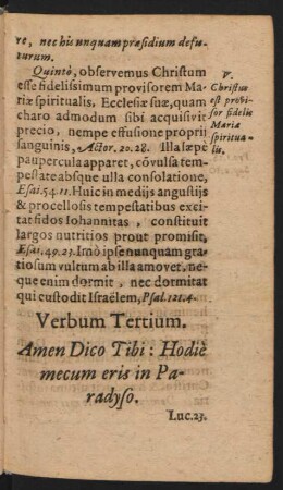 Verbum Tertium. Amen Dico Tibi: Hodie mecum eris in Paradyso.