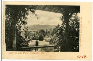 Riverside. View in City Park, Riverside, Cal.