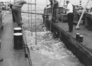 Ausbau des Fahrwassers am Rhein