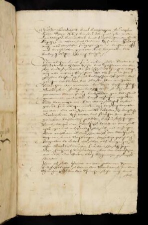 44r-49v, Maiengebot der Landvogtei Schwaben (ohne Datum, Fortsetzung der Abschrift)