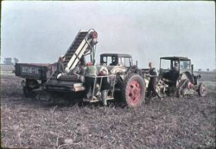 Kartoffelvollerntemaschine E 672 bei der Arbeit in Heinersdorf