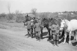 Zweiter Weltkrieg. Frontbilder. Rußland, Oblast Belgorod. Angehörige der deutschen Wehrmacht mit Pferden