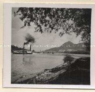 Honnef, Rhein, Drachenfels