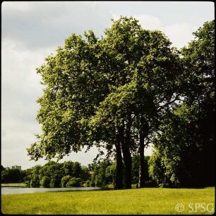 Potsdam, Neuer Garten, Gartenlandschaft.