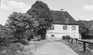 Coswig. Weingut Talkenberger Hof, Winzerhaus. Ansicht mit Hausbaum