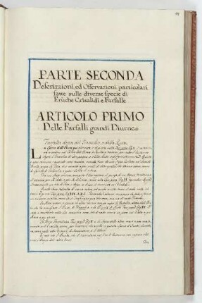 Articolo primo. Delle farfalli grandi diurne