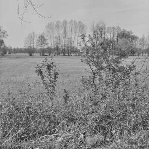Landschaftsbild. Wälder und Wiesen um Burg-Kauper. : Wobraz krajiny. Lěsy a łuki wokoło Kupaŕskich Bórkowow.