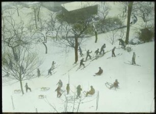 Langenhennersdorf, Winter : Langenhennersdorf. Blick auf einen Rodelhang