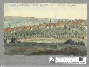 Ansicht von Reinsbronn auf der Abendseite : den 27. July 1819