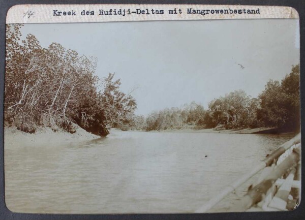 Kreek des Rufidji- Deltas mit Mangrowenbestand