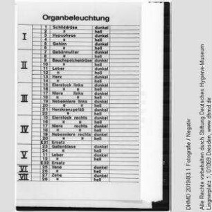Technische Unterlagen Gläserne Frau Piacryl - "Organbeleuchtung"