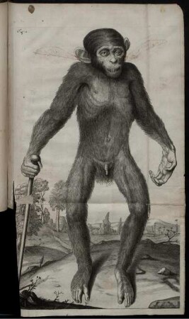 Fig. 1. [bis] Fig. 15.