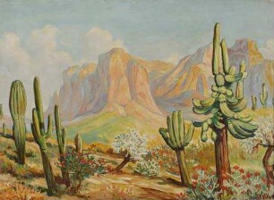 Motiv an der Grenze zwischen Kalifornien und Mexiko bei Aqua Caliente