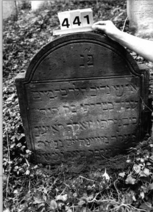 Grabstein 441 (Index: 99803719) Material: Sandstein Zustand: leicht verwittert/eingesunken Maße HxBxT: 79x72x11 cm Beschreibung: Stele mit Karniesbogen und profiliertem Rand: Grabstein 441