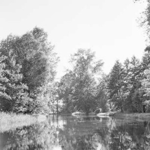 Trotzkefließ in Leipe. Bäume spiegeln sich im Wasser des Flusses. : Groble w Lipjem. Štomy špiheluja so we wodźe rěki.
