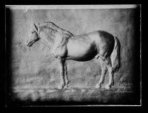 Estnisches Pferd (Relief) : Estnisches Pferd (Relief). Bronze (ab 1927; E. Richter)