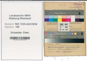 Entnazifizierung Peter Schaedler , geb. 20.03.1887 (Bergingenieur)