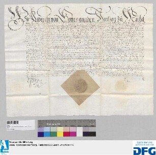 Salva-Guardia-Brief des Herzogs Albrecht von Mecklenburg, Friedland etc. für die Reichsstadt Nürnberg und deren Gebiet.