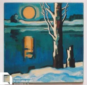 Kleine Teichlandschaft im Winter
