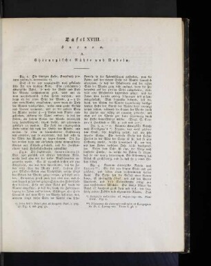 [Tafel XVIII. - Tafel XXV.]