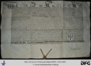 A1/1505: Urkunden: Universitätsarchiv Freiburg, A1/1505