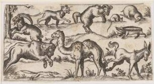 Verschiedene Tiere, rechts unten Esel